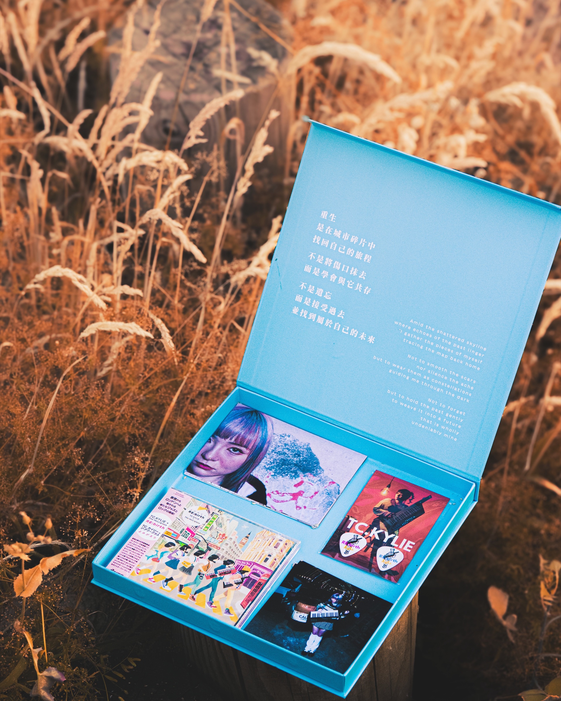 RE:birth collector edition opened among summer grasses
